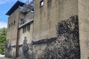 
						Под Правдинском завершают благоустройство шлюза Мазурского канала (фото)											