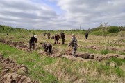 На территории Калининградской области высадили более 58 тысяч елей (фото)
На территории Калининградской области высадили более 58 тысяч елей (фото)