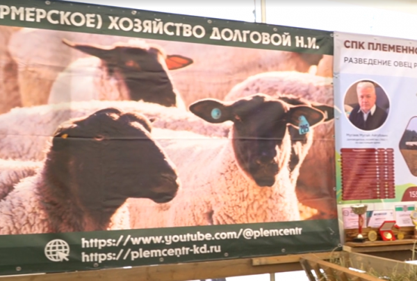И вновь &laquo;золото&raquo; из Дагестана &mdash; в Нестеровском районе