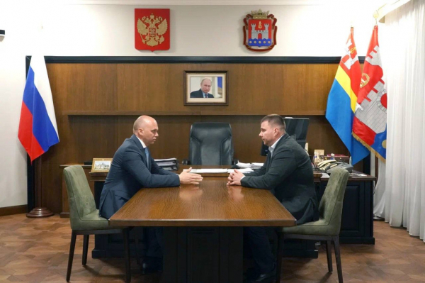 Демонтировавшего доску литовскому философу главу администрации отправили в досрочную отставку Демонтировавшего доску литовскому философу главу администрации отправили в досрочную отставку