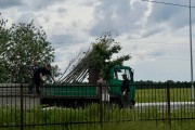 «Вместо вековых»: вдоль дороги в Новое Голубево готовятся высаживать деревья на месте старинной аллеи (фото)
«Вместо вековых»: вдоль дороги в Новое Голубево готовятся высаживать деревья на месте старинной аллеи (фото)