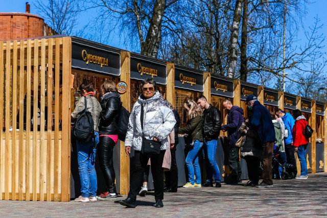 Траты туристов в Калининградской области увеличились почти на 20% в 2024 году
Траты туристов в Калининградской области увеличились почти на 20% в 2024 году