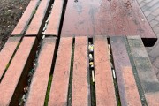 
						В Калининграде ищут подрядчика для реконструкции лавок-вазонов на улице Баранова (фото)											