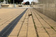 «Сильное разрушение»: власти вновь хотят провести обследование набережной Трибуца в Калининграде (фото)
«Сильное разрушение»: власти вновь хотят провести обследование набережной Трибуца в Калининграде (фото)